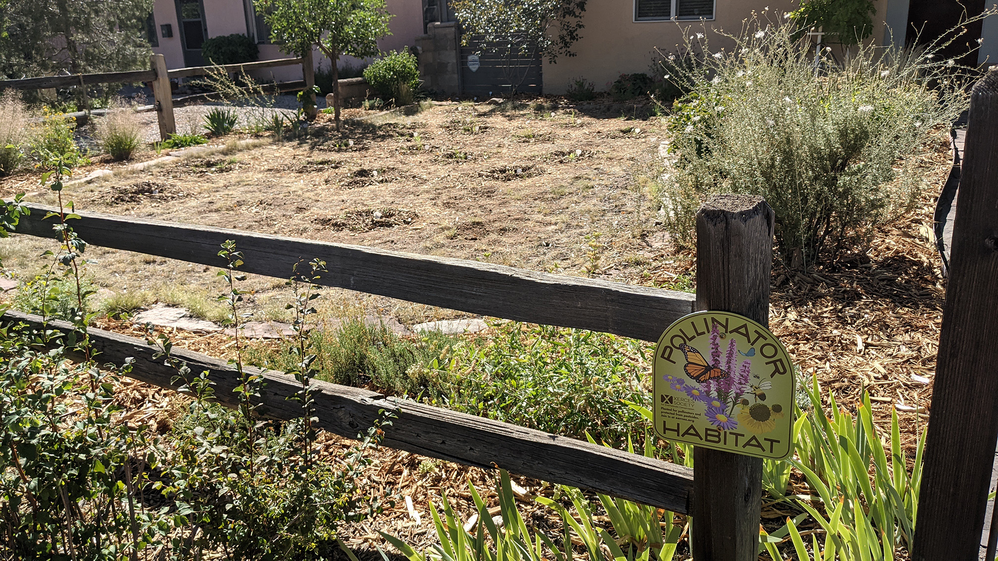 A front garden in which flowers have been planted. Small circles of recently dug soil surround each small, green plant. The garden is edged by a wooden fence made of two horizontal rails and widely spaced posts. In the foreground, attached to the fence is a sign. The sign is green, with colorful flowers and an orange butterfly and brown lettering that says “pollinator habitat”.