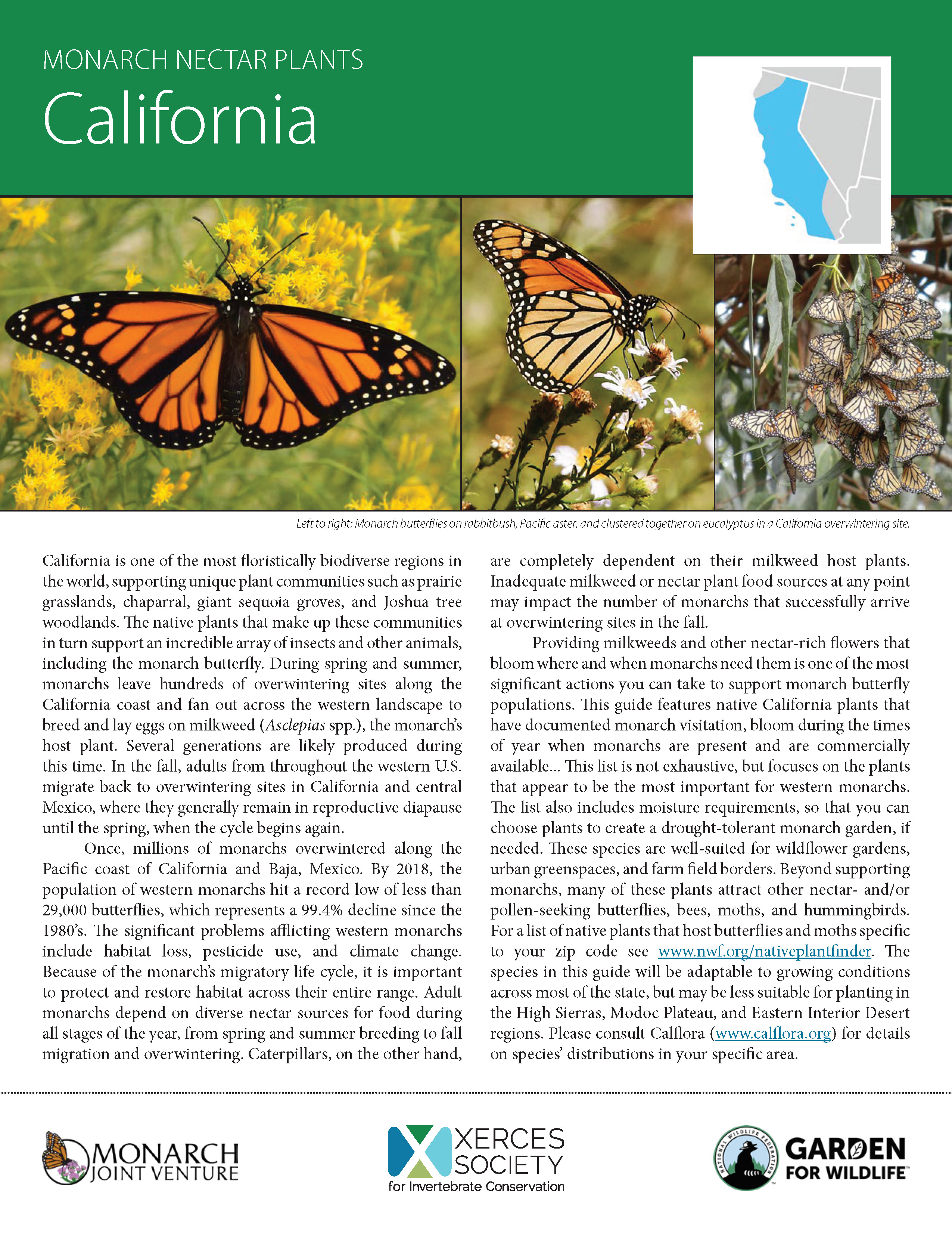The Monarch Butterfly Genome Yields Insights into Long-Distance