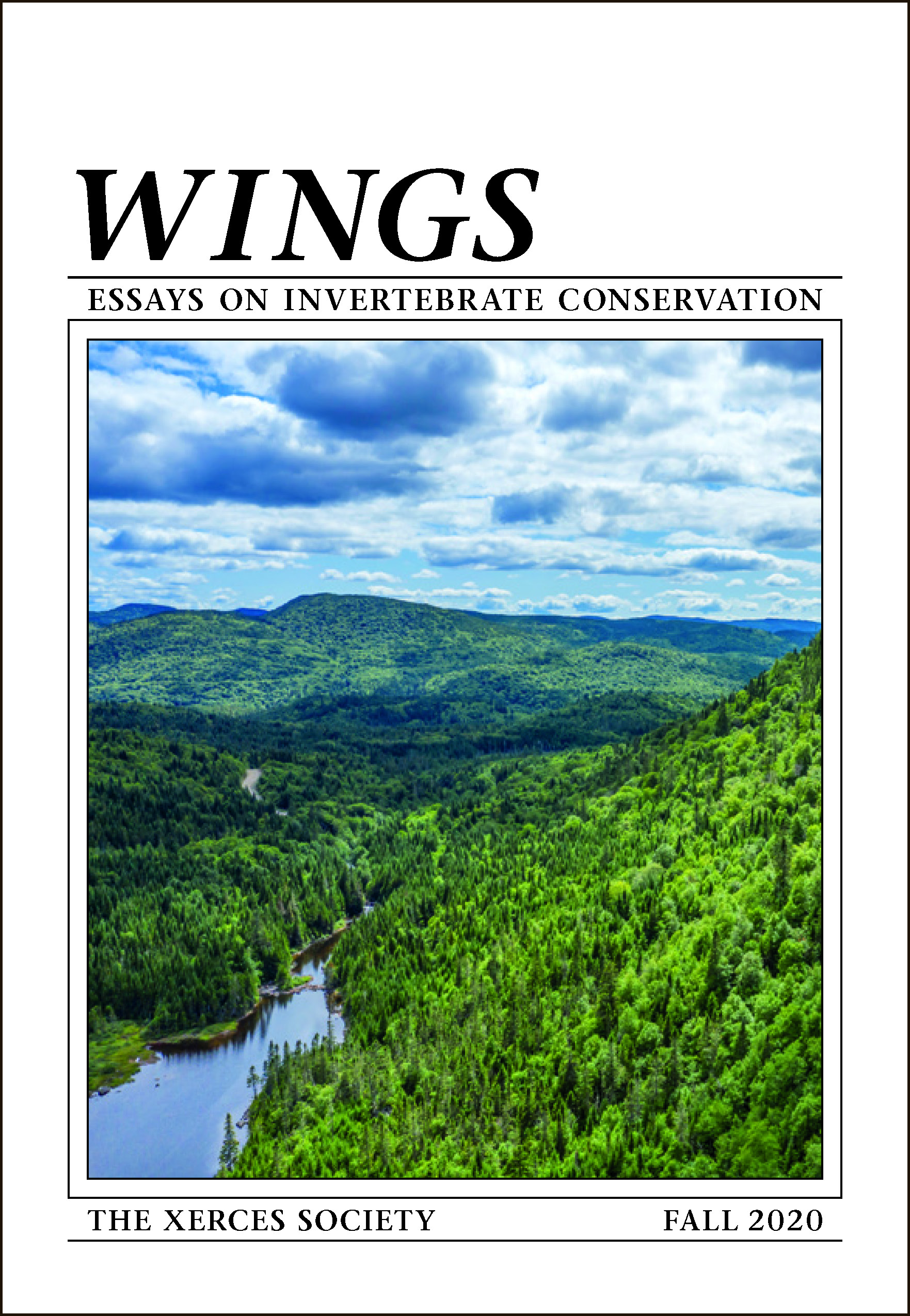 The cover of an edition of Wings is shown. In large text at the top is 