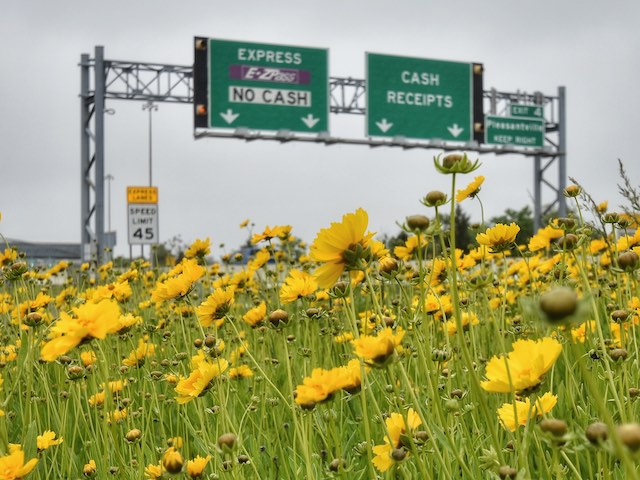 Roadsides & Rights-of-Way