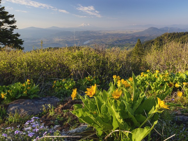 Natural Lands