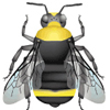 A stylized but very detailed and accurate image of a bumble bee is shown (sampled from our ID guides).