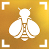 The Bumble Bee Watch logo, which depicts a stylized bee centered in a frame, is shown.
