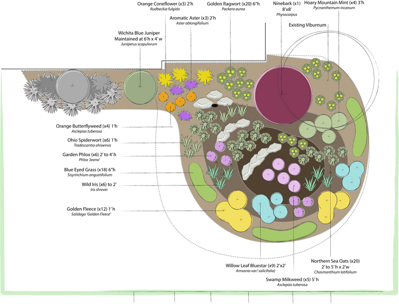 rain garden design