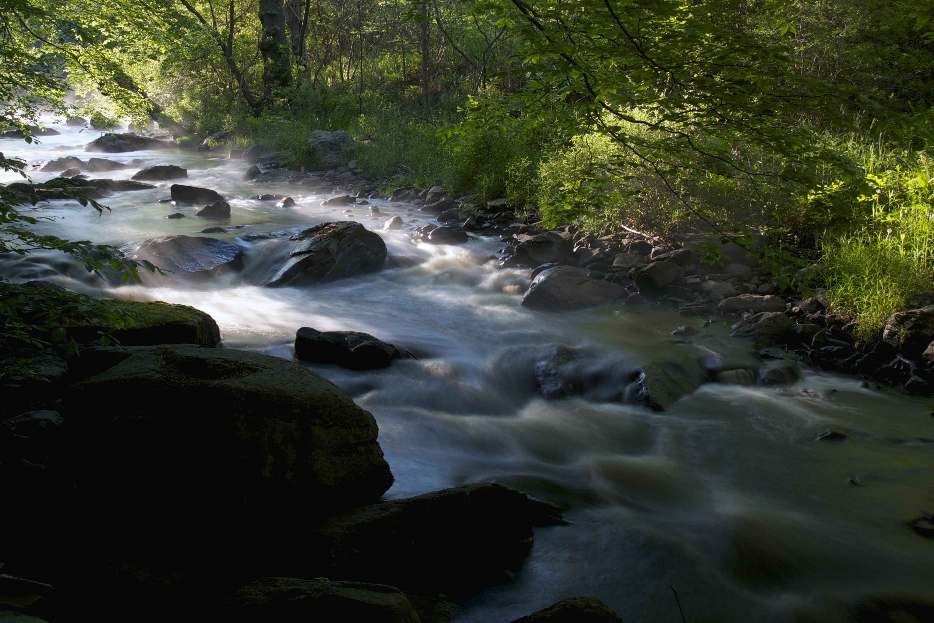 A serene creek flows through verdant forest. The blurred surface of the water is dappled with light.