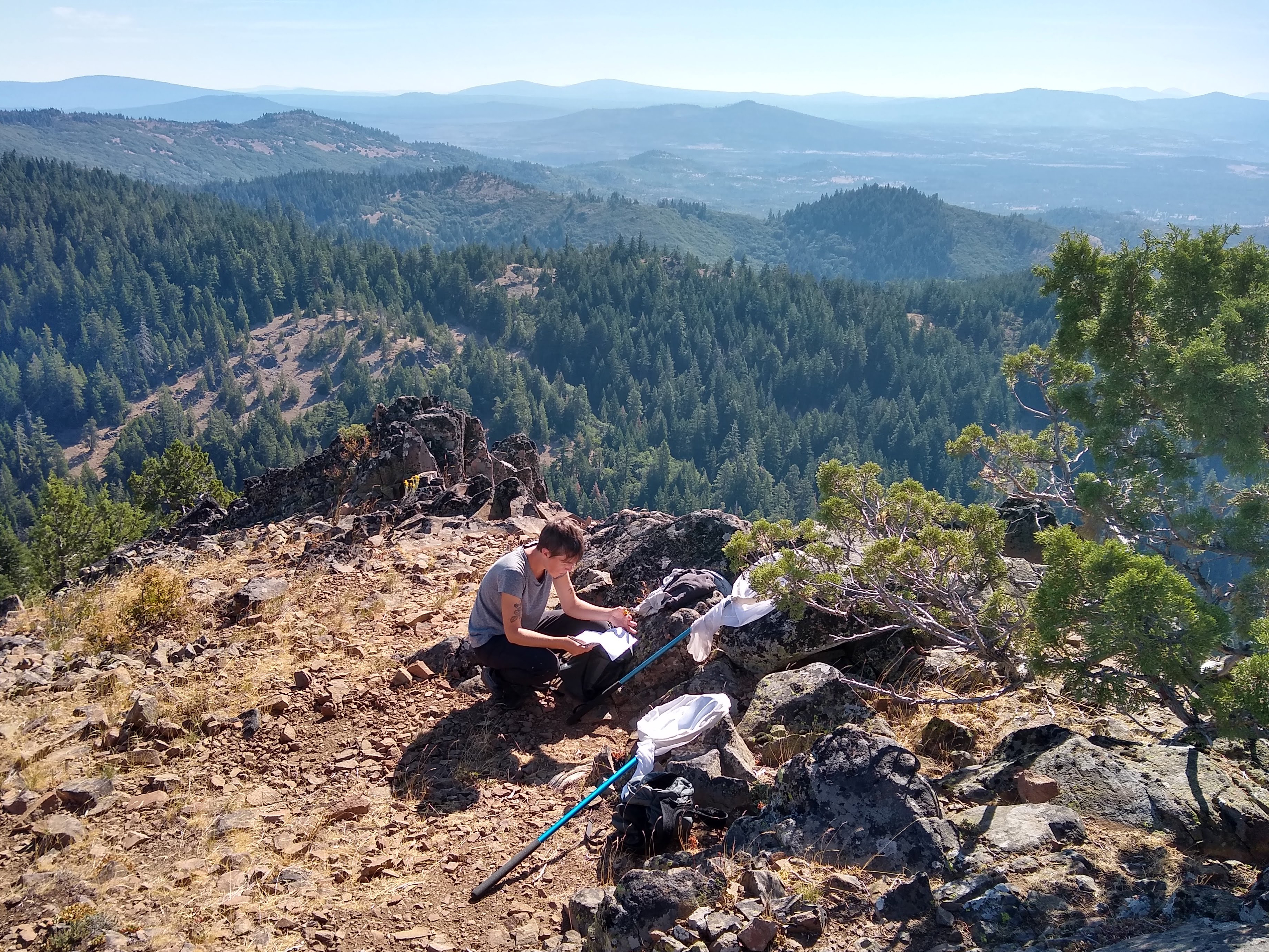 A woman crouches to record data on a piece of paper, near her butterfly net. She is atop a rock-strewn hill amid a mountainous landscape.