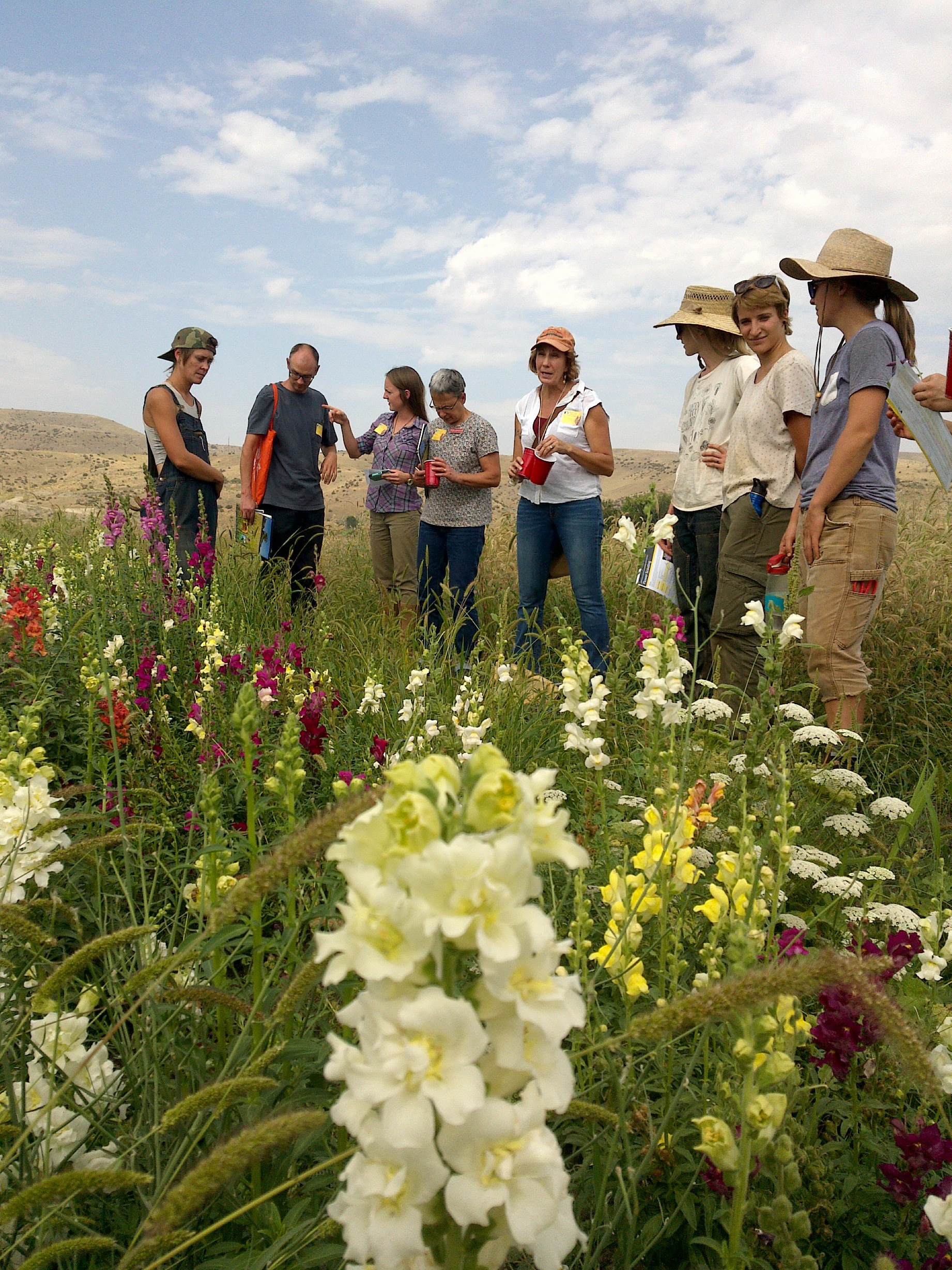 A group of people gathers around a colorful planting of assorted flowers.