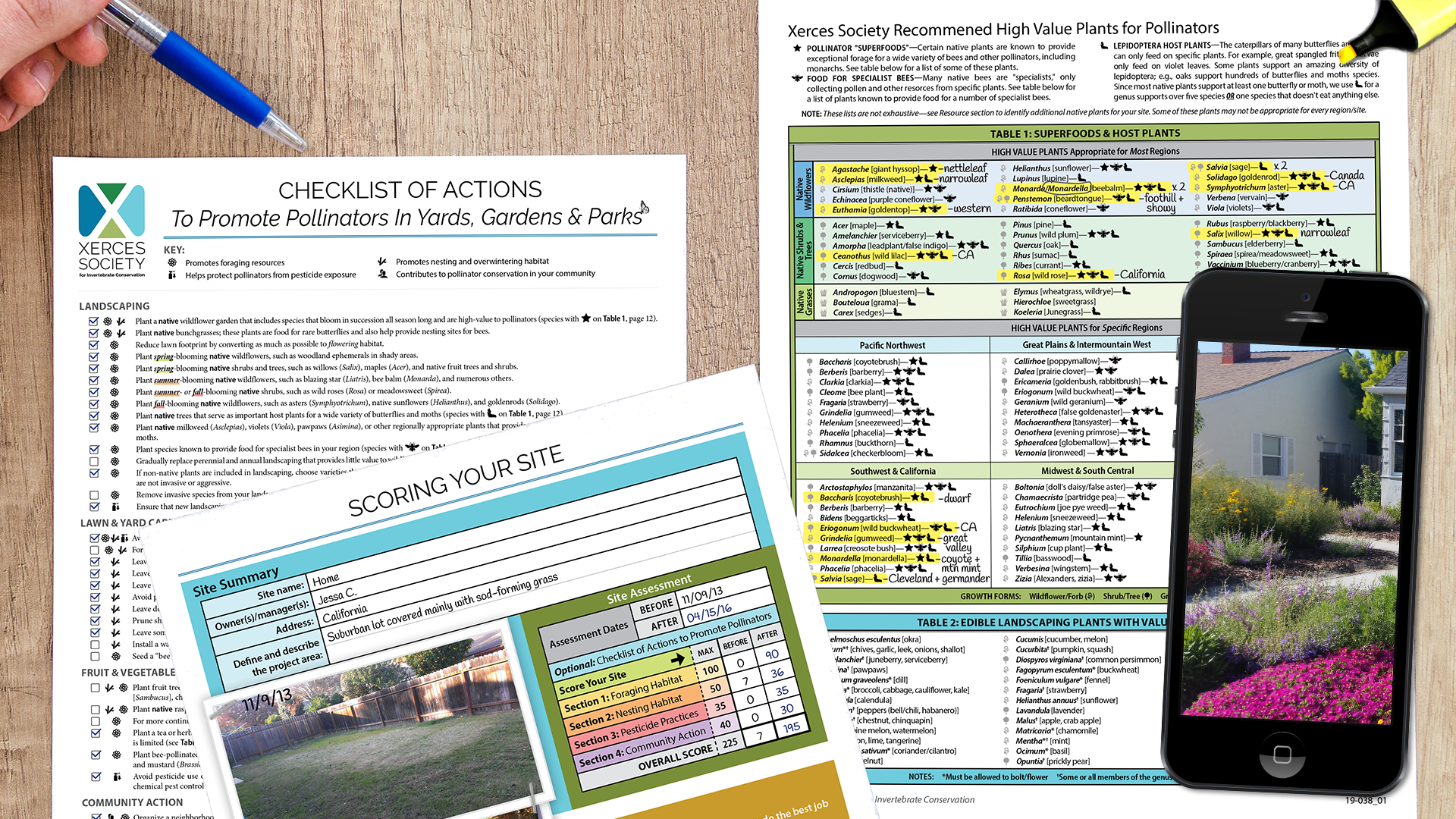 This graphic depicts a Checklist of Actions to Promote Pollinators in Yards, Gardens, and Parks; a score sheet for your site; a plant list; and a phone displaying a photo of some flowering habitat in front of a small house.