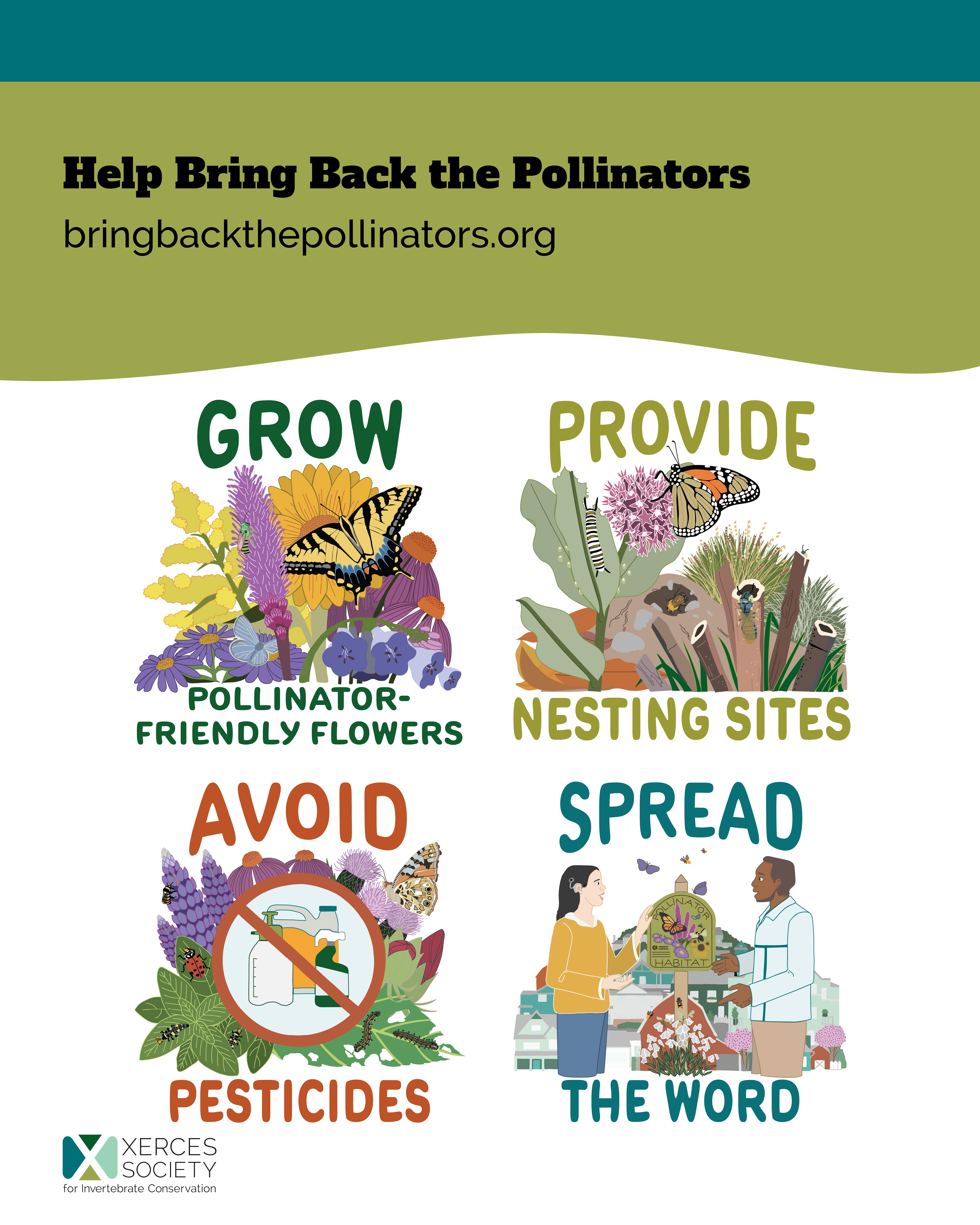 Social media graphic titled “Help Bring Back the Pollinators” with the URL bringbackthepollinators.org. Four illustrated actions are shown: grow pollinator-friendly flowers, provide nesting sites, avoid pesticides, and spread the word. The graphic includes butterflies, bees, caterpillars, native plants, nesting materials, people with a pollinator habitat sign, and the Xerces Society logo
