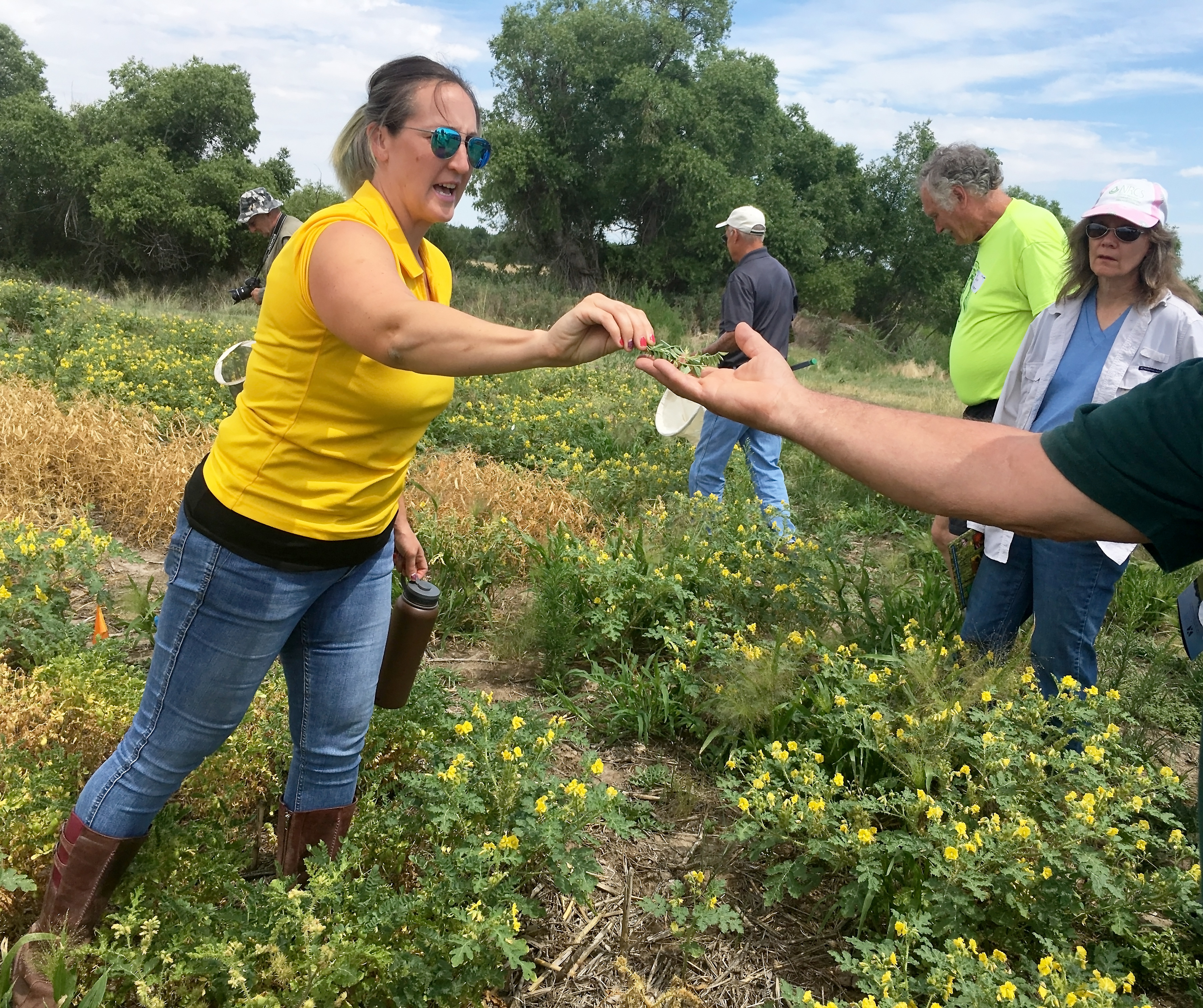 A woman teaches in the field during a conservation biological control course.