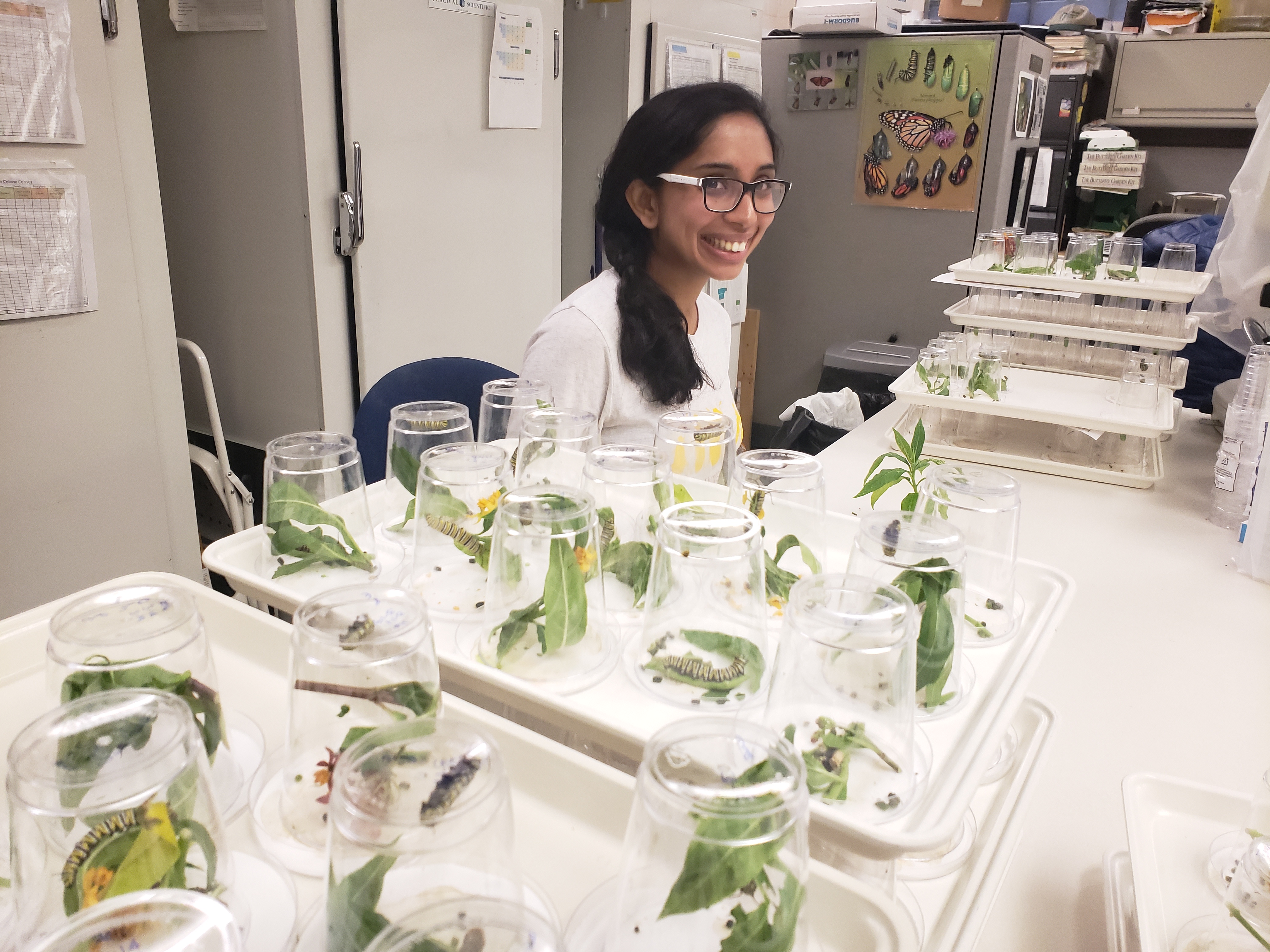 DeWind Awardee, Niranjana Krishnan sitting in her lab surrounded by plants in jars..