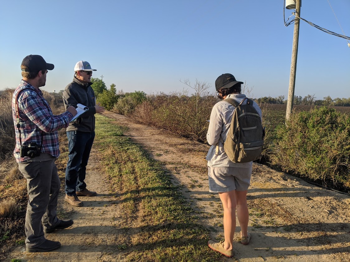 Three people, with clipboards in hand, inspect a hedgerow of young shrubs growing beside a dusty farm track.