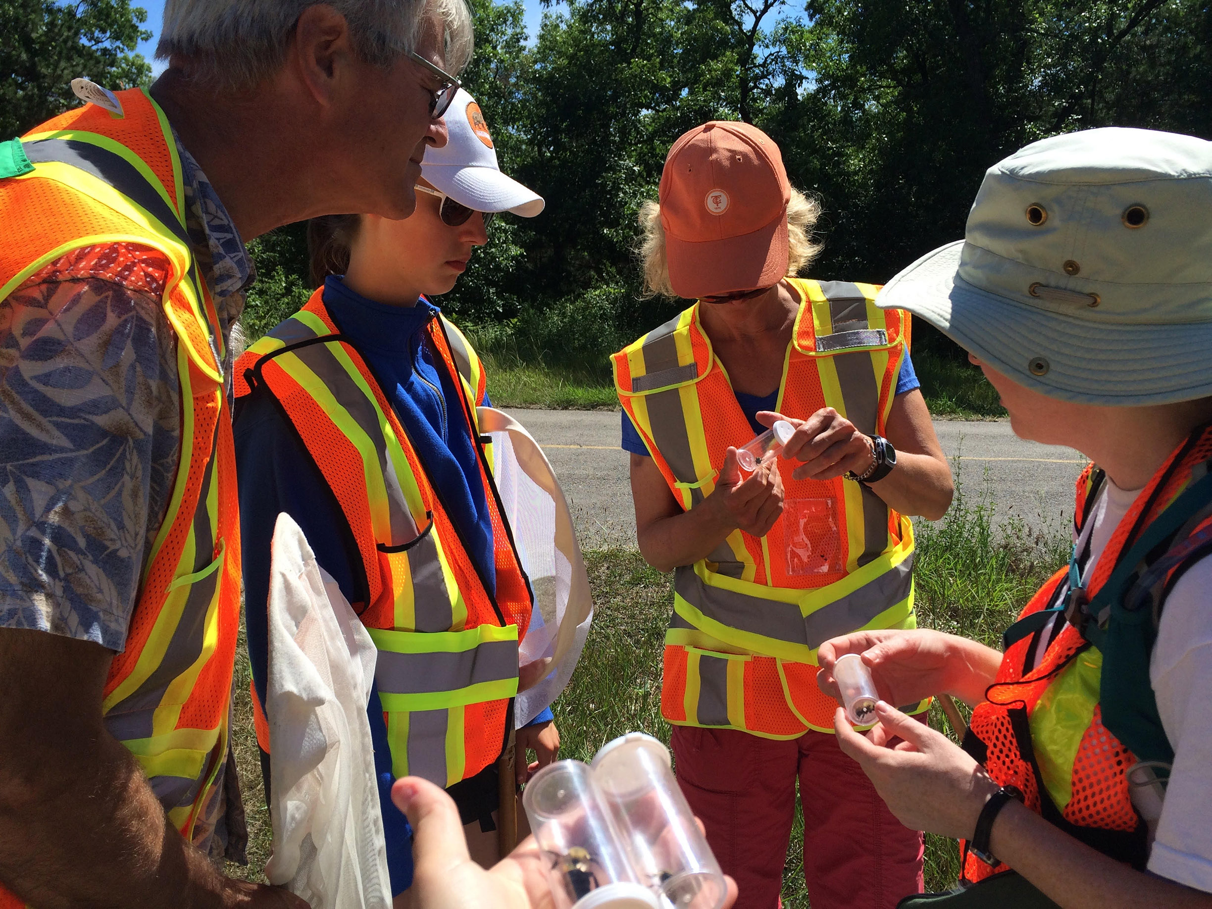 A group of volunteers wearing bright orange safety vests gather around to learn about bumble bee surveys