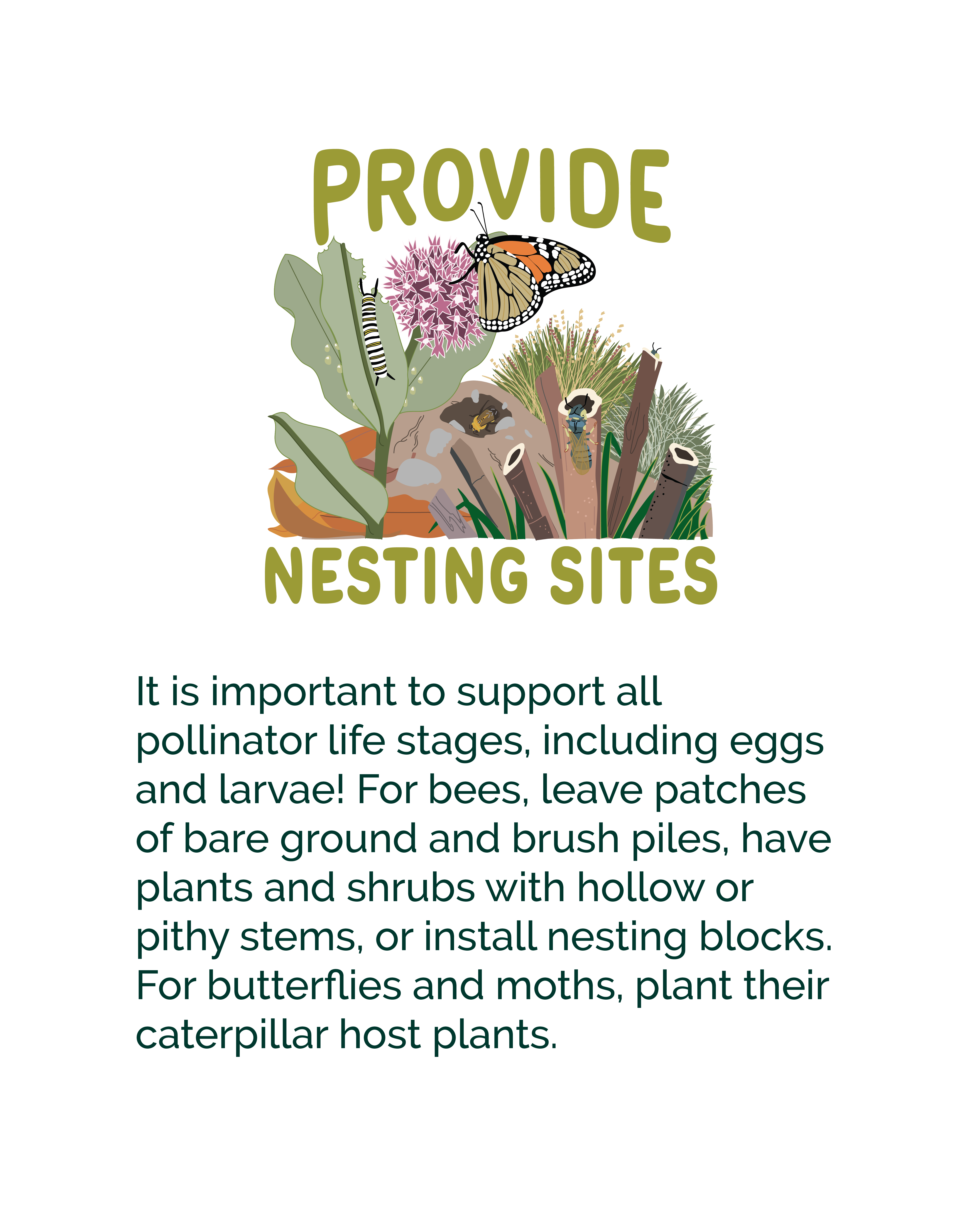 Social media graphic encouraging people to provide nesting sites for pollinators, with an illustration of a monarch butterfly, monarch caterpillar, bees, plants, bare ground, brush, and hollow stems. Text explains that nesting habitat supports pollinator life stages, including eggs and larvae, and suggests leaving bare ground and brush piles, providing hollow or pithy stems or nesting blocks for bees, and planting caterpillar host plants for butterflies and moths