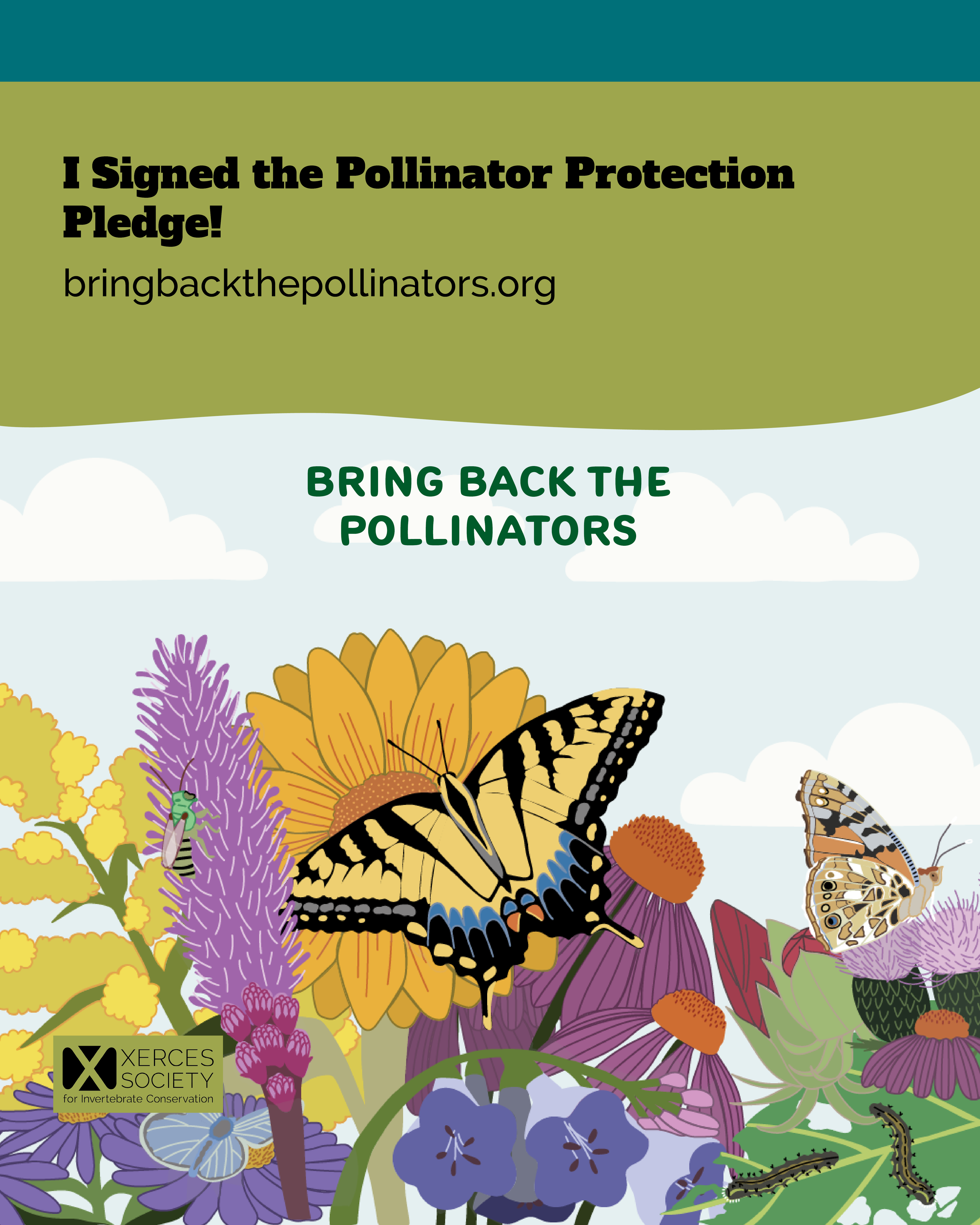 Graphic with text reading “I Signed the Pollinator Protection Pledge! bringbackthepollinators.org” and “Bring Back the Pollinators.” The illustration shows colorful native flowers with butterflies, caterpillars, and insects. Xerces Society logo appears in the lower left