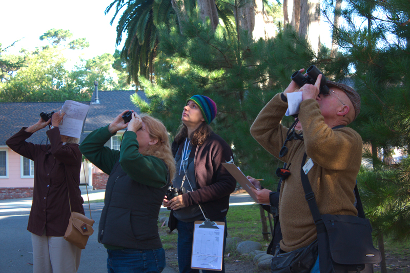 A group of people stand with their binoculars pointed upwards, towards monarchs outside of the frame.
