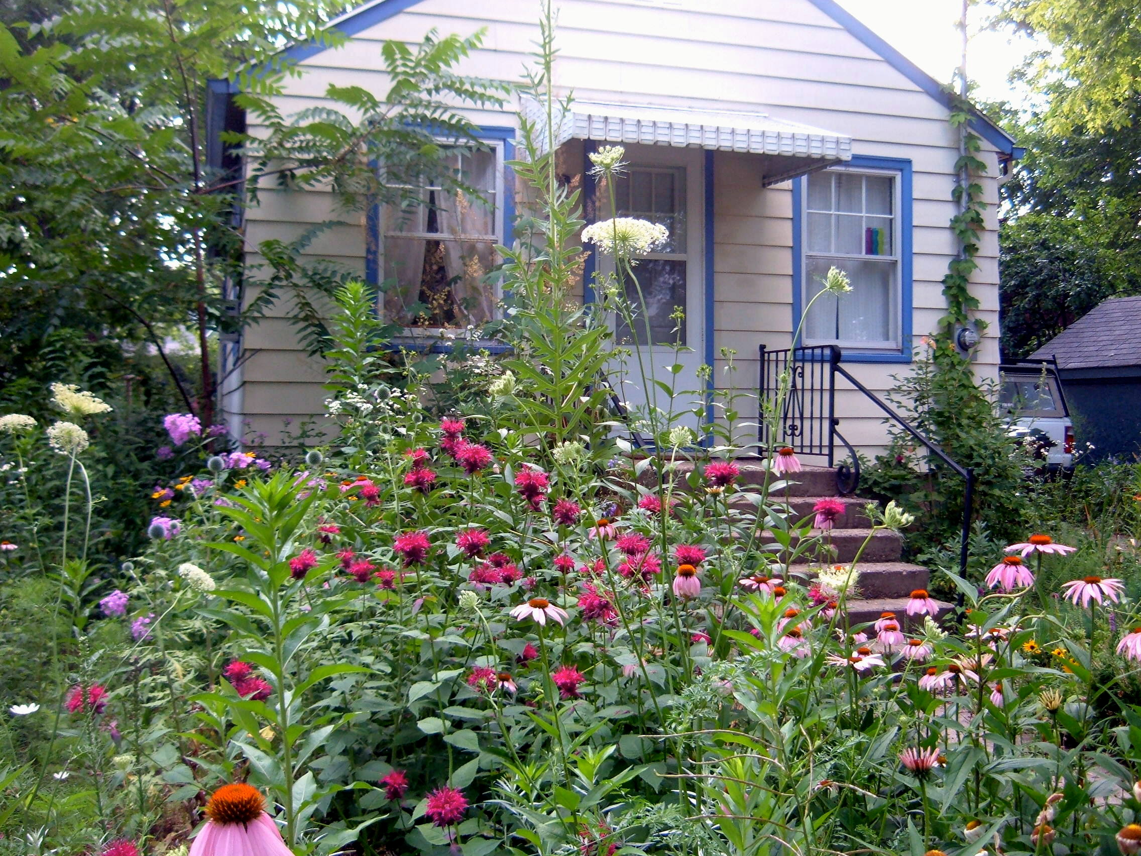 A small house with light paint and bright blue trim is dwarfed by the lush garden in the foreground, featuring flowers of a variety of shapes, sizes, and colors.