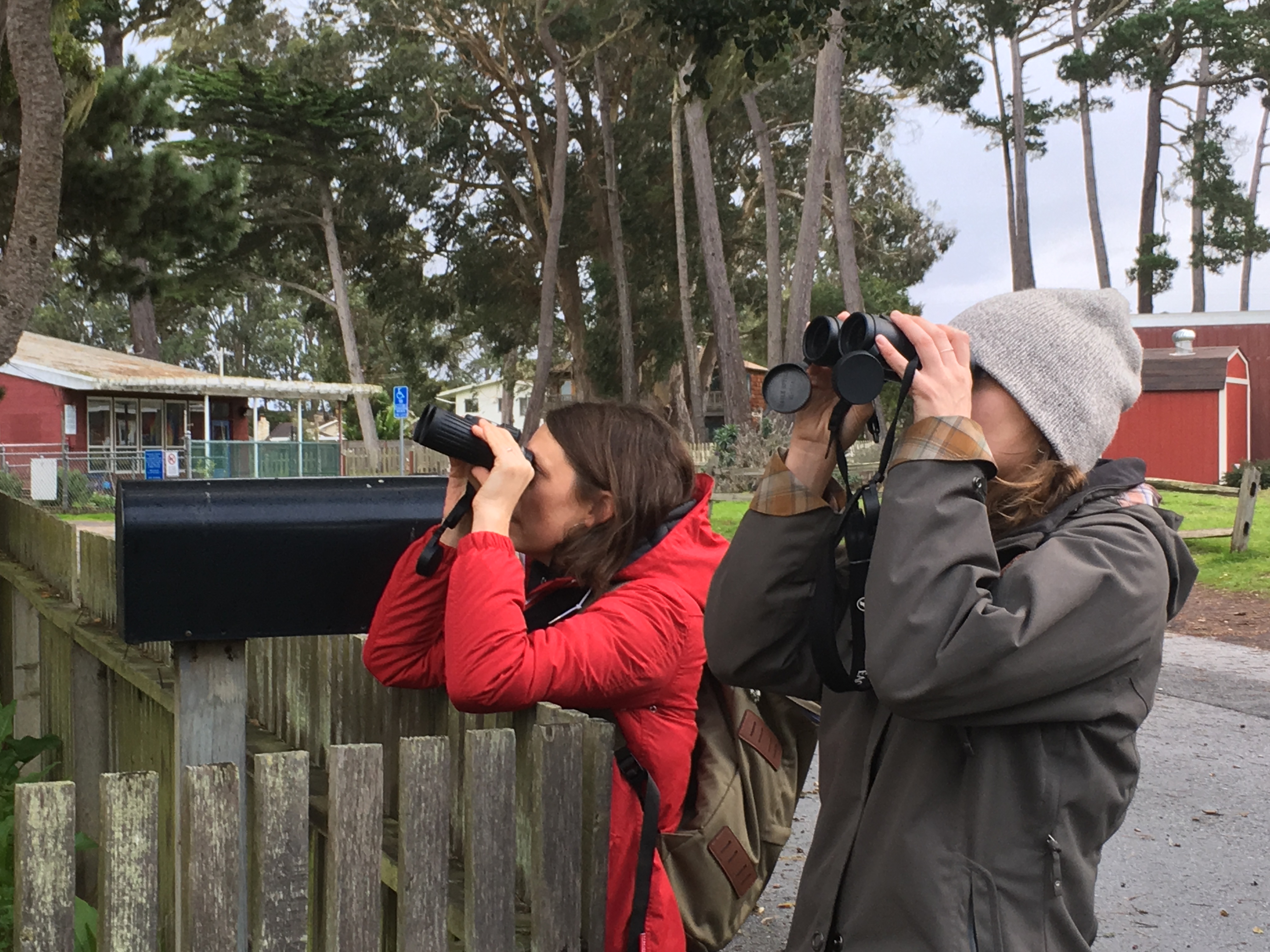 Two women in coats and knit hats lean on a wooden fence and look upwards, in the distance, with binoculars. Though what they are looking at is not shown in the frame, they are participating in a monarch observation project.