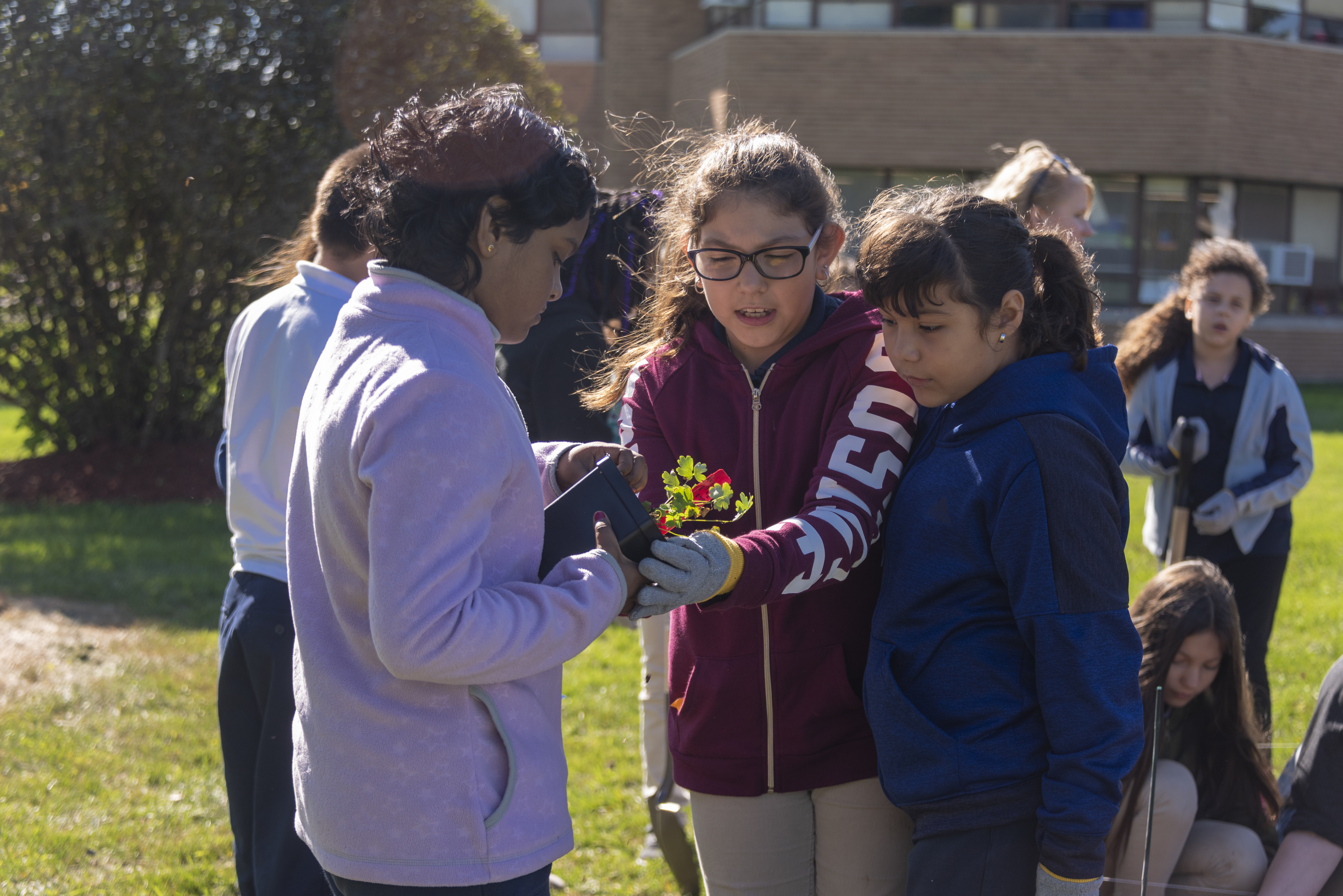 School kids planting a pollinator garden.
