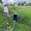 A white woman standing in a wildflower field, next to a set of equipment for collecting moths and surveying plant species. In the background, a road and houses show that this is in an urban setting.