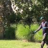 A worker spraying pesticides onto the front lawn of a building.