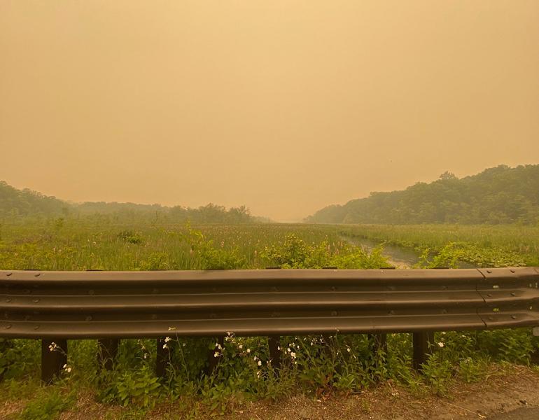 A roadside field, with wildflowers, amidst the haze of wildfire smoke. The air is thick, and it is difficult to see far at all