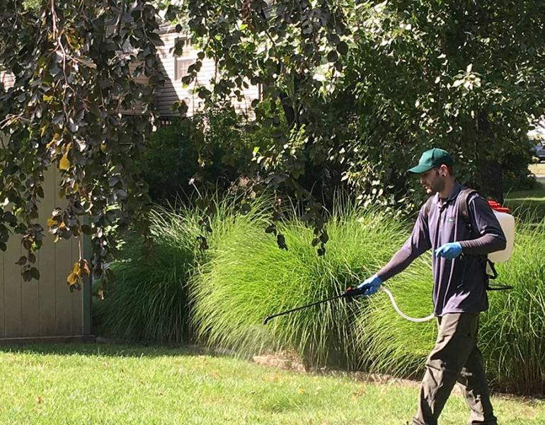 A worker spraying pesticides onto the front lawn of a building.