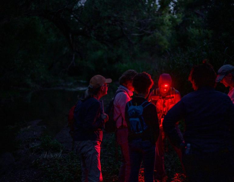 6 people in a forest circle around red light during a firefly survey (Photo: Julius Schlosburg courtesy of Rachel Laura)
