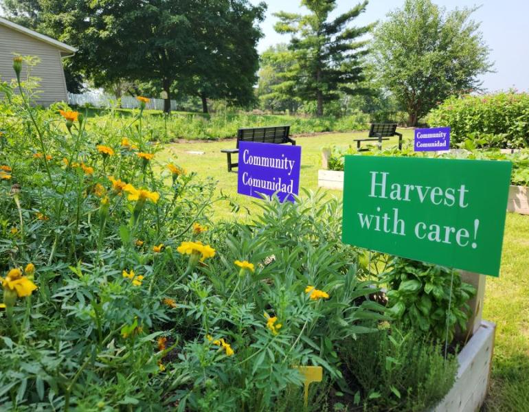 A garden with flowers and vegetables, with signs saying "Harvest with Care" and "Community/ Communidad"