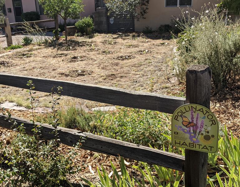 A front garden in which flowers have been planted. Small circles of recently dug soil surround each small, green plant. The garden is edged by a wooden fence made of two horizontal rails and widely spaced posts. In the foreground, attached to the fence is a sign. The sign is green, with colorful flowers and an orange butterfly and brown lettering that says “pollinator habitat”.