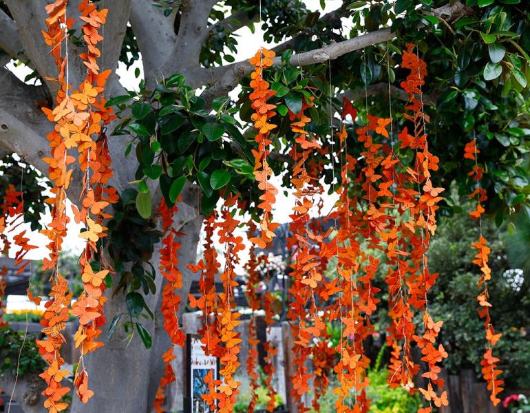 Monarch Wishing Tree holding up hundreds of wooden butterflies
