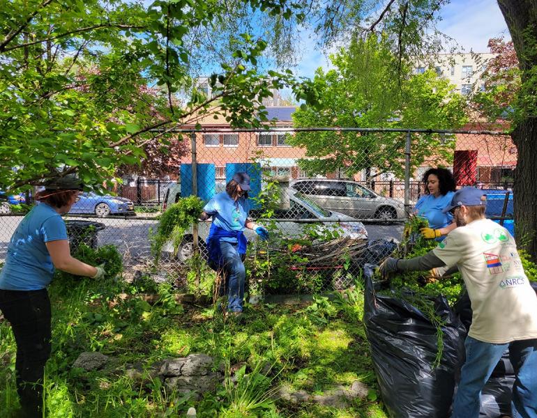 Volunteers weeding in a People's Garden in the Bronx
