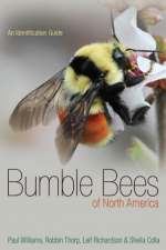 Bumble Bee Information | Xerces Society