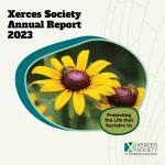 Annual report cover