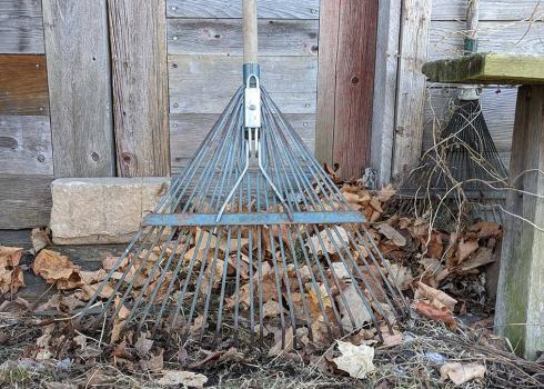 A rake leaning against a shed, with dried leaves left untidied on the ground.