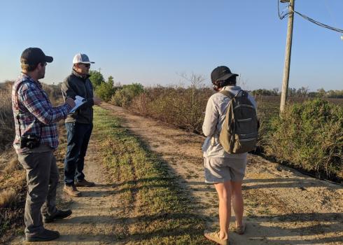 Three people, with clipboards in hand, inspect a hedgerow of young shrubs growing beside a dusty farm track.