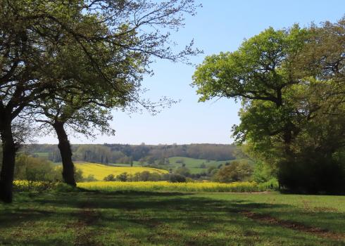 The English countryside is a patchwork of woodlands and farm fields edged by hedgerows.
