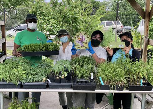 Four people stand behind a table laden with trays of small plants. They are holding plants and "pollinator habitat" signs ready for a day of hard work.