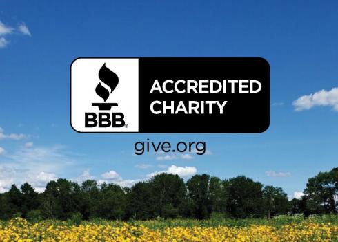 The BBB Accredited Charity symbol is imposed over a picture of a flowering meadow. (Photo: John Wolchesky)