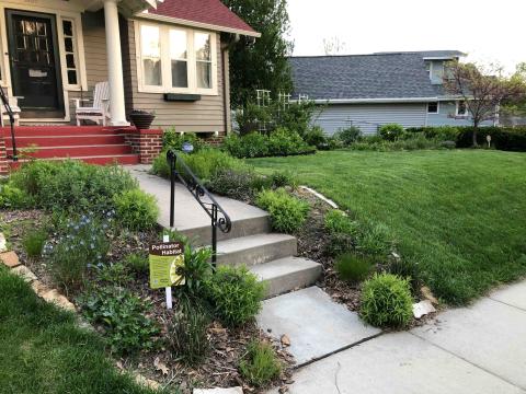 Front yard of a house with a small pollinator habitat garden along the walkway and steps, featuring native plants and flowers, a “Pollinator Habitat” sign, and a neatly mowed lawn surrounding the garden beds.