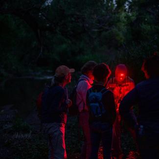 6 people in a forest circle around red light during a firefly survey (Photo: Julius Schlosburg courtesy of Rachel Laura)