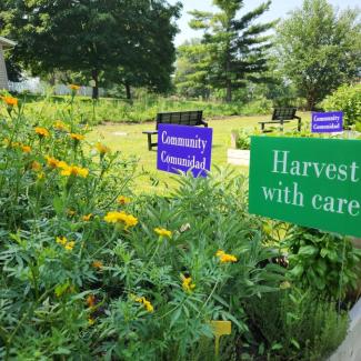 A garden with flowers and vegetables, with signs saying "Harvest with Care" and "Community/ Communidad"