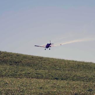 A small aircraft flies close to the ground as it sprays insecticides on rangeland