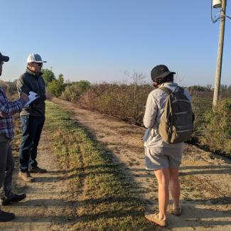 Three people, with clipboards in hand, inspect a hedgerow of young shrubs growing beside a dusty farm track.