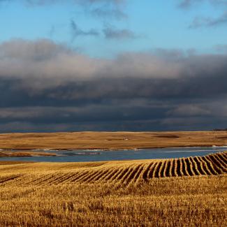 A farm landscape showing brown stubble of corn in fields surrounding a wetland pond. The water appears dark blue, reflecting the gray clouds in the blue sky.