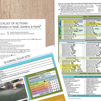 This graphic depicts a Checklist of Actions to Promote Pollinators in Yards, Gardens, and Parks; a score sheet for your site; a plant list; and a phone displaying a photo of some flowering habitat in front of a small house.