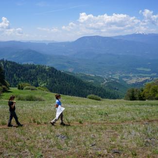 Amid a mountainous, meadow-strewn landscape, three people holding butterfly nets walk along a narrow, dirt trail.
