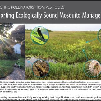 The front page of the guide Supporting Ecologically Sound Mosquito Management: Protecting Pollinators from Pesticides is shown, with some large text blocks and an image of a field in which different insects, including butterflies and bees, are shown in a landscape.
