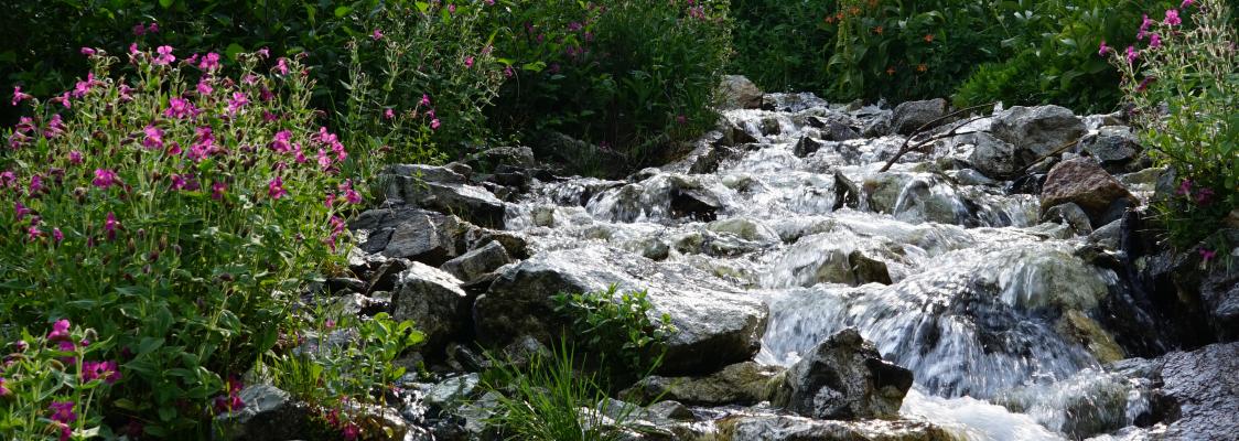 A boulder-laden stream cascades alongside flower-strewn banks.