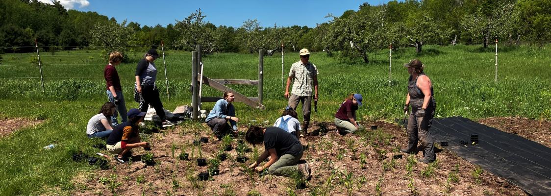 Wisconsin Pollinator Habitat Kits | Xerces Society